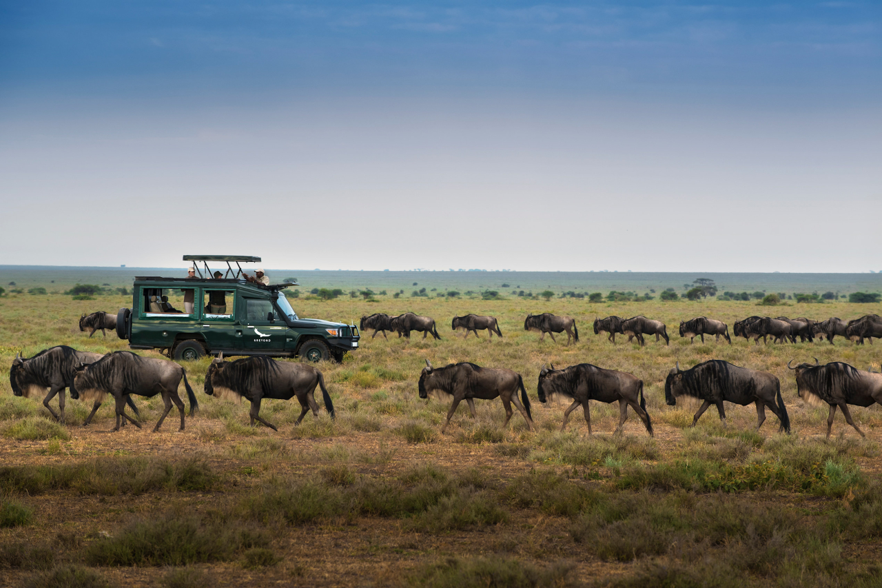 Serengeti National Reserve