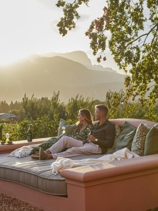 The Cape, the vines and the wild
